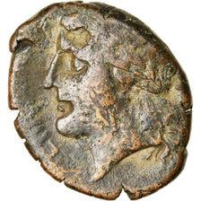 Moneta, Bruttium, Terina, Bronze Æ, 350-275 BC, MB, Bronzo, HN Italy:2648