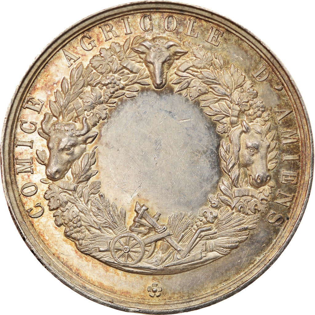 Francja, Medal, Comice Agricole d'Amiens, AU(55-58), Srebro