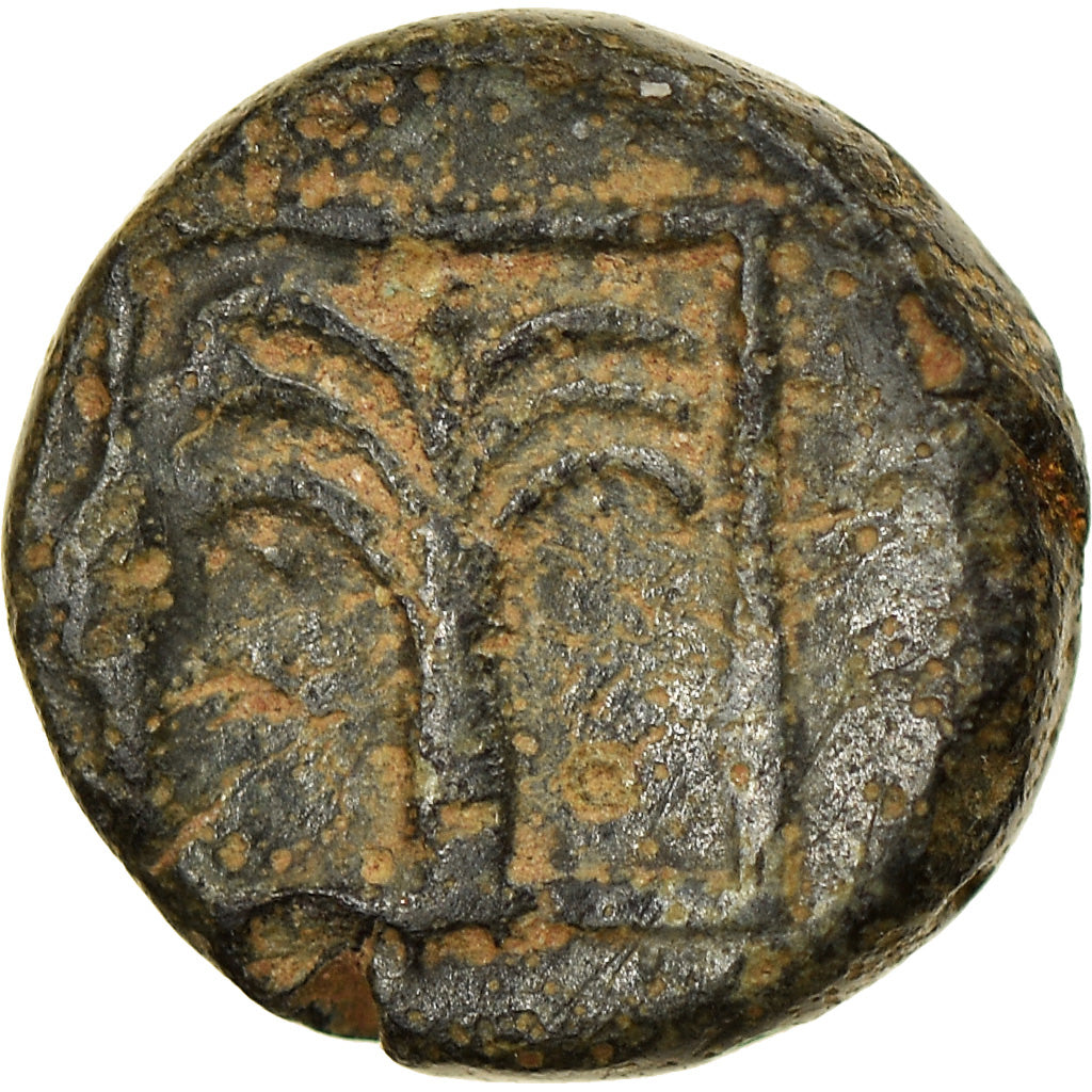 Coin, Troas, Skepsis, Bronze Æ, 4th-3rd century BC, VF(30-35), Bronze