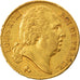 Coin, France, Louis XVIII, 20 Francs, 1817, Paris, EF(40-45), Gold, KM:712.1