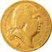 Coin, France, Louis XVIII, 20 Francs, 1819, Paris, VF(30-35), Gold, KM:712.1