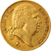 Monnaie, France, Louis XVIII, 20 Francs, 1824, Lille, TTB, Or, Gadoury:1028