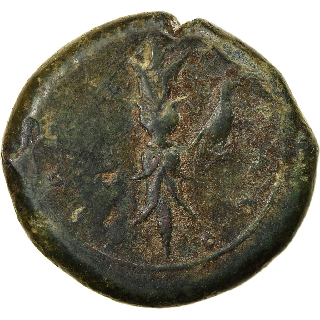 Coin, Sicily, Syracuse, Timoleon, Hemidrachm, 344-339/8 BC, EF(40-45), Bronze