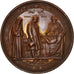 France, Medal, Epidémie de Choléra, Visites de Napoléon III et