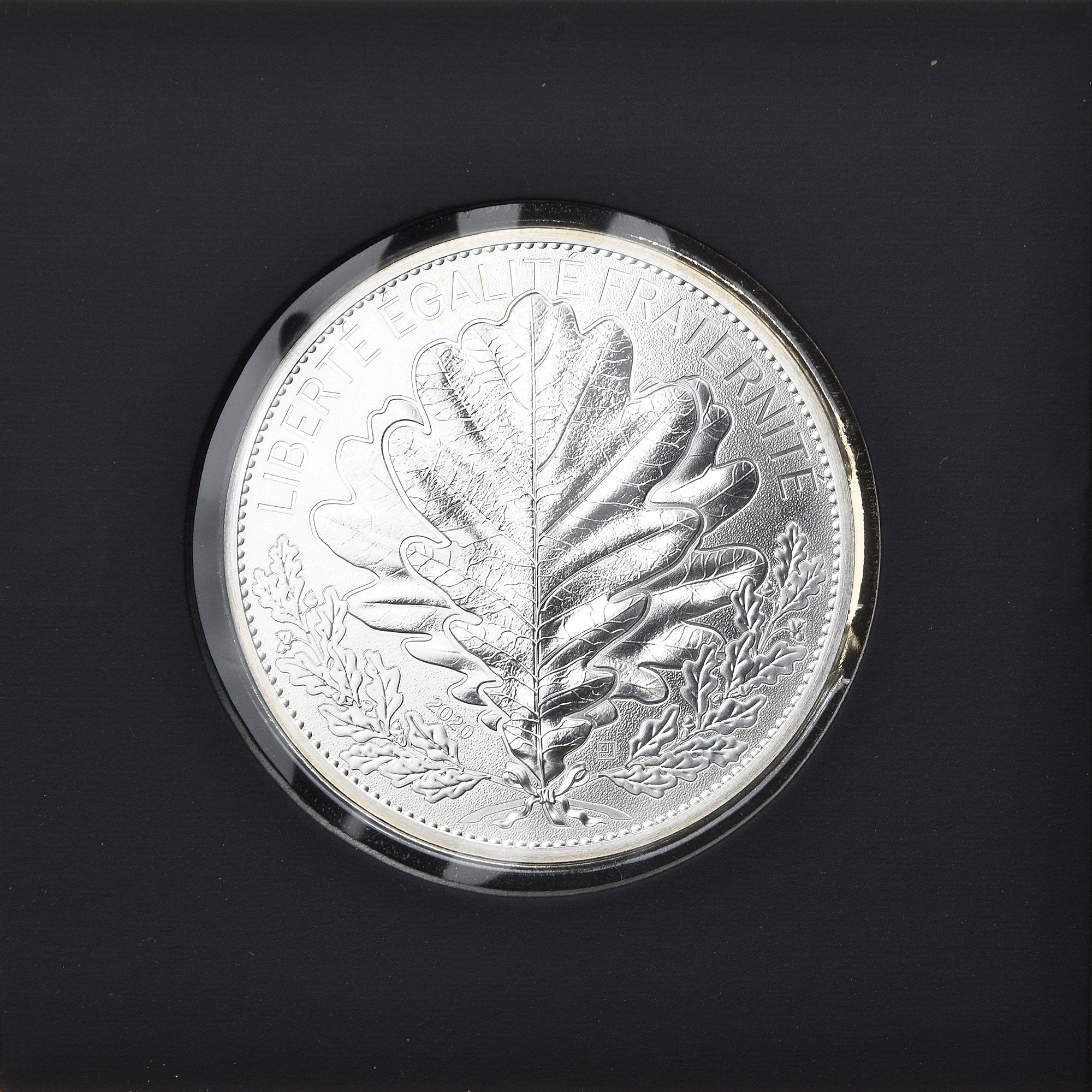 Francia, Monnaie de Paris, 100 Euro, Le Chêne, 2020, Paris, FDC, Argento