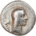 Coin, Calpurnia, Denarius, 67 BC, Rome, VF(30-35), Silver, Crawford:408/1b