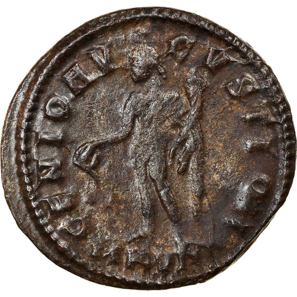 Monnaie, Constantin I, Follis, AD 311, Cyzique, TTB, Bronze, RIC:77b