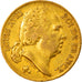 Monnaie, France, Louis XVIII, 20 Francs, 1817, Paris, TB+, Or, Gadoury:1028