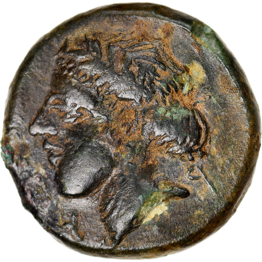 Coin, Bruttium, Rhegium, Bronze Æ, 351-280 BC, EF(40-45), Bronze, HN Italy:2534