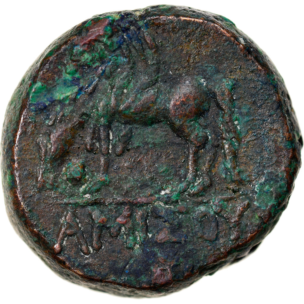 Moeda, Ponto, Amisos, Bronze Æ, 85-65 BC, EF(40-45), Bronze, HGC:7-239