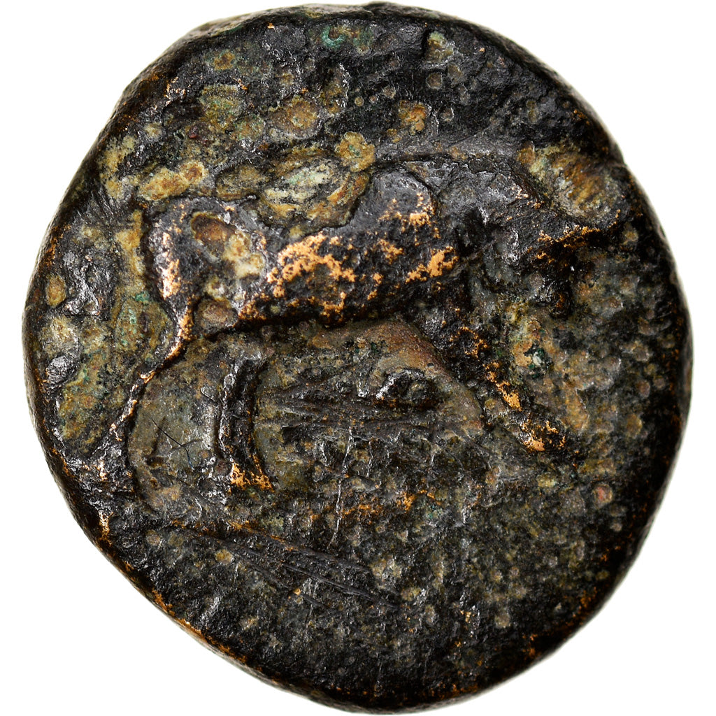 Moneda, Caria, Kaunos, Bronze Æ, 350-300 BC, BC+, Bronce