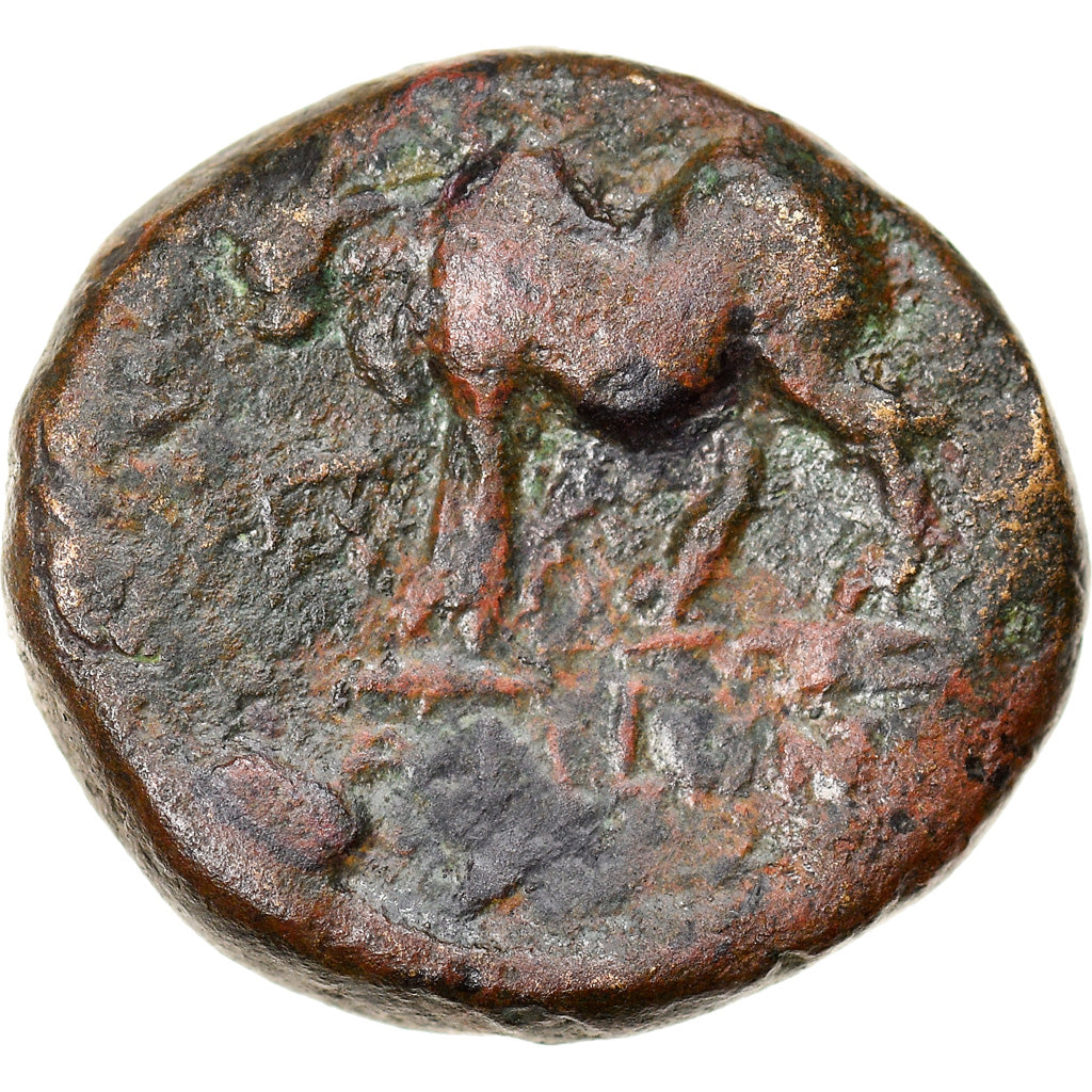 Monnaie, Lydie, Tralleis, Bronze Æ, 3ème siècle AV JC, TB+, Bronze, BMC:64-65