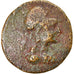 Monnaie, Phrygie, Apameia, Bronze Æ, 88-40 BC, TB, Bronze, SNG-Cop:164