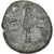 Coin, Pisidia, Selge, Bronze Æ, 2nd-1st century BC, Rare, VF(30-35), Bronze