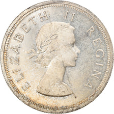 Moneta, Sudafrica, Elizabeth II, 5 Shillings, 1954, SPL, Argento, KM:52