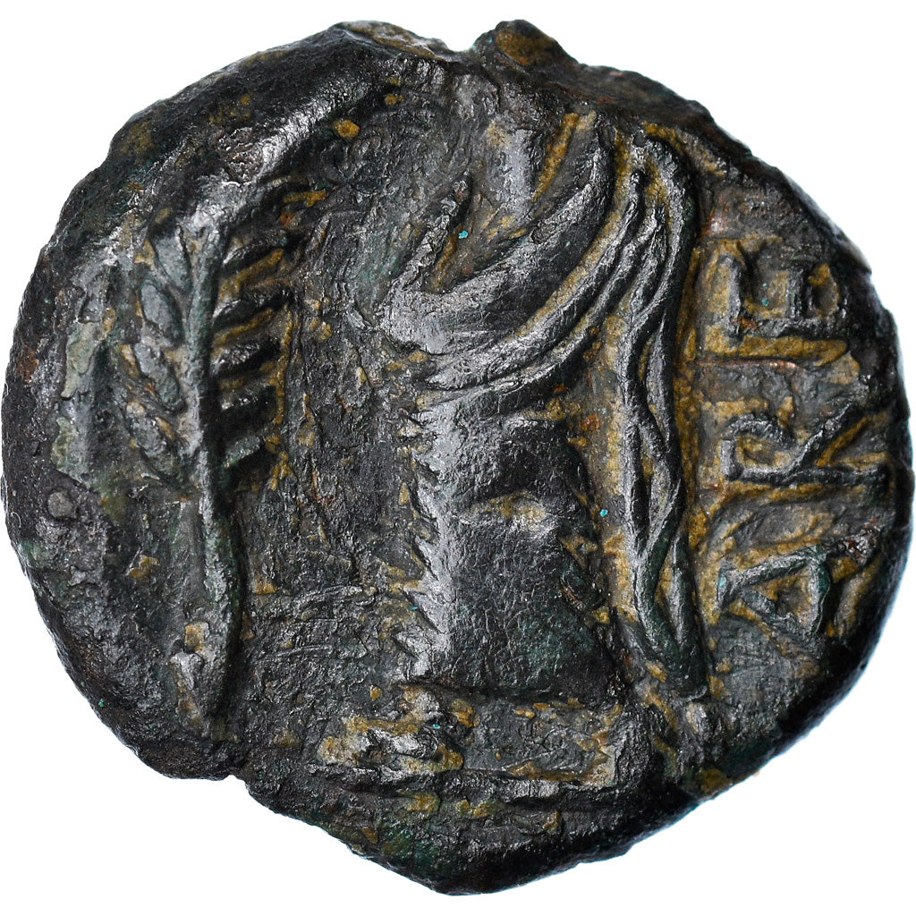 Münze, Volcae Arecomici, Bronze Æ, Ist century BC, SS, Bronze, Latour:2677