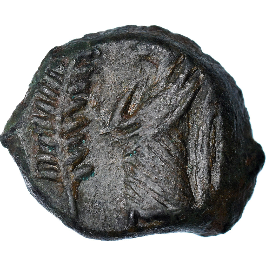 Coin, Volcae Arecomici, Bronze Æ, Ist century BC, EF(40-45), Bronze