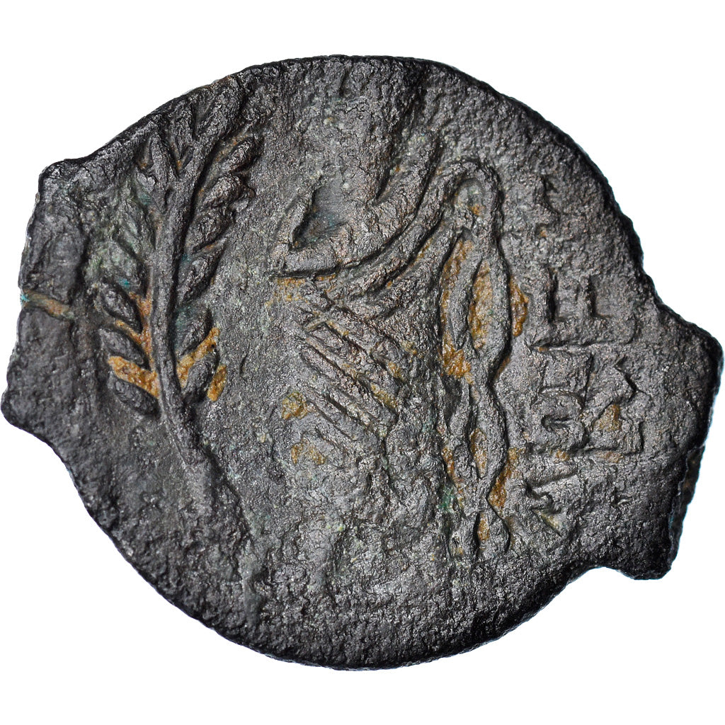 Coin, Volcae Arecomici, Bronze Æ, Ist century BC, EF(40-45), Bronze