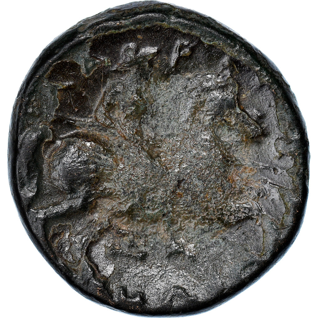 Moneta, Thessaly, Larissa, Dichalkon, 3rd century BC, MB, Bronzo, HGC:4-530