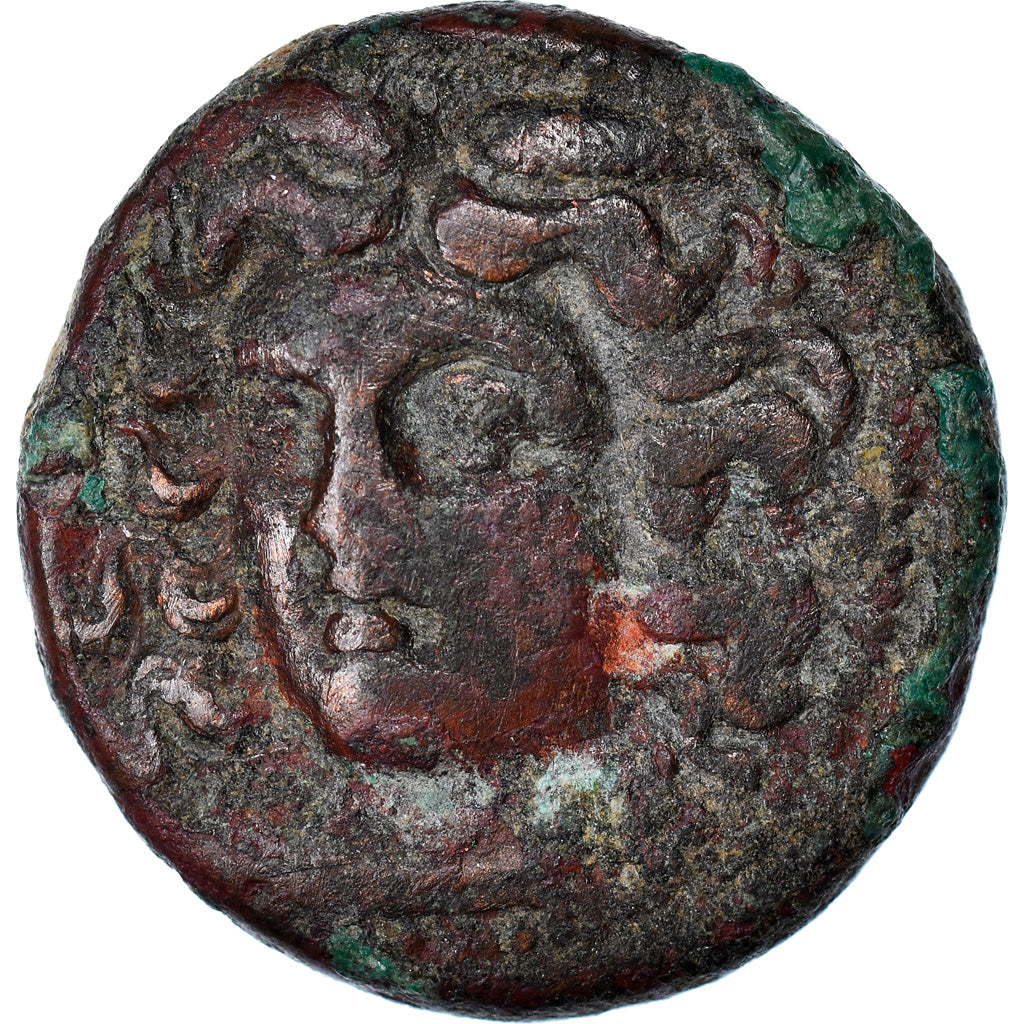 Monnaie, Thessalie, Larissa, Dichalque, 3ème siècle AV JC, TTB, Bronze