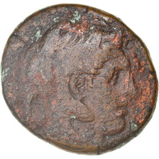 Moneda, Egypt, Ptolemy I Soter, Obol, 305-298/7 BC, Alexandria, BC+, Bronce