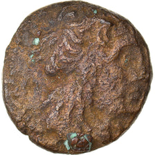 Monnaie, Égypte, Ptolémée II Philadelphe, Bronze Æ, 276-275 BC, Tyre, TB+