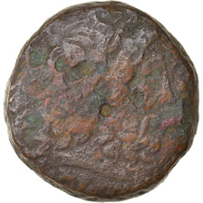Monnaie, Égypte, Ptolémée III, Obole, 246-230 BC, Alexandrie, TB, Bronze