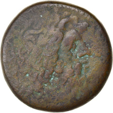 Coin, Egypt, Ptolemy II Philadelphos, Diobol, 275/4-260 BC, Alexandria