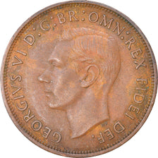 Coin, Australia, George VI, Penny, 1951, EF(40-45), Bronze, KM:43
