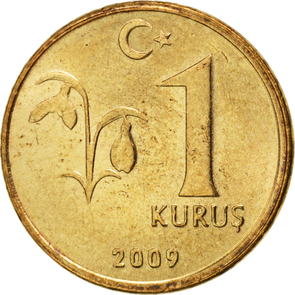 Coin, Turkey, Kurus, 2009, MS(63), Copper-Nickel Plated Steel, KM:1239