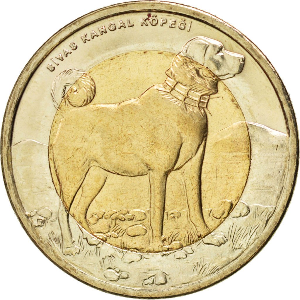 TURKEY, Lira, 2010, KM #1280, MS(63), Bi-Metallic, 26.15, 8.43