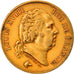 Moneda, Francia, Louis XVIII, 40 Francs, 1824, Paris, MBC, Oro, KM:713.1