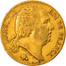 Moeda, França, Louis XVIII, 20 Francs, 1818, Paris, EF(40-45), Dourado