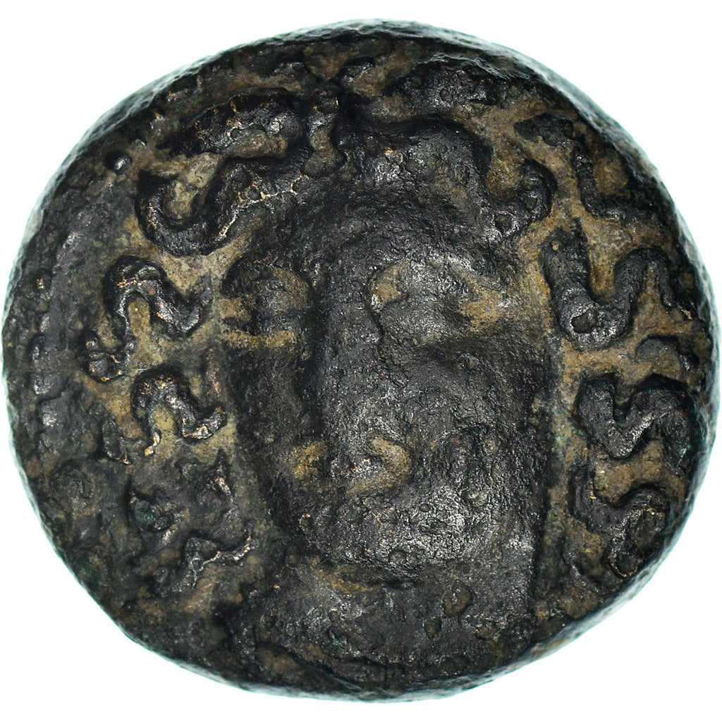 Monnaie, Thessalie, Larissa, Dichalque, 3ème siècle AV JC, TTB, Bronze