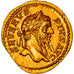 Septimius Severus, Aureus, 202-210, Rome, Rzadkie, Złoto, NGC, AU(55-58)