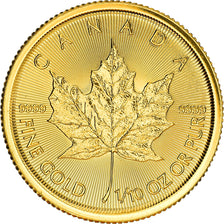 Moneta, Canada, Elizabeth II, Maple Leaf, 5 Dollars, 2016, 1/10 Oz, FDC, Oro