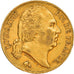 Moeda, França, Louis XVIII, 20 Francs, 1817, Paris, EF(40-45), Dourado