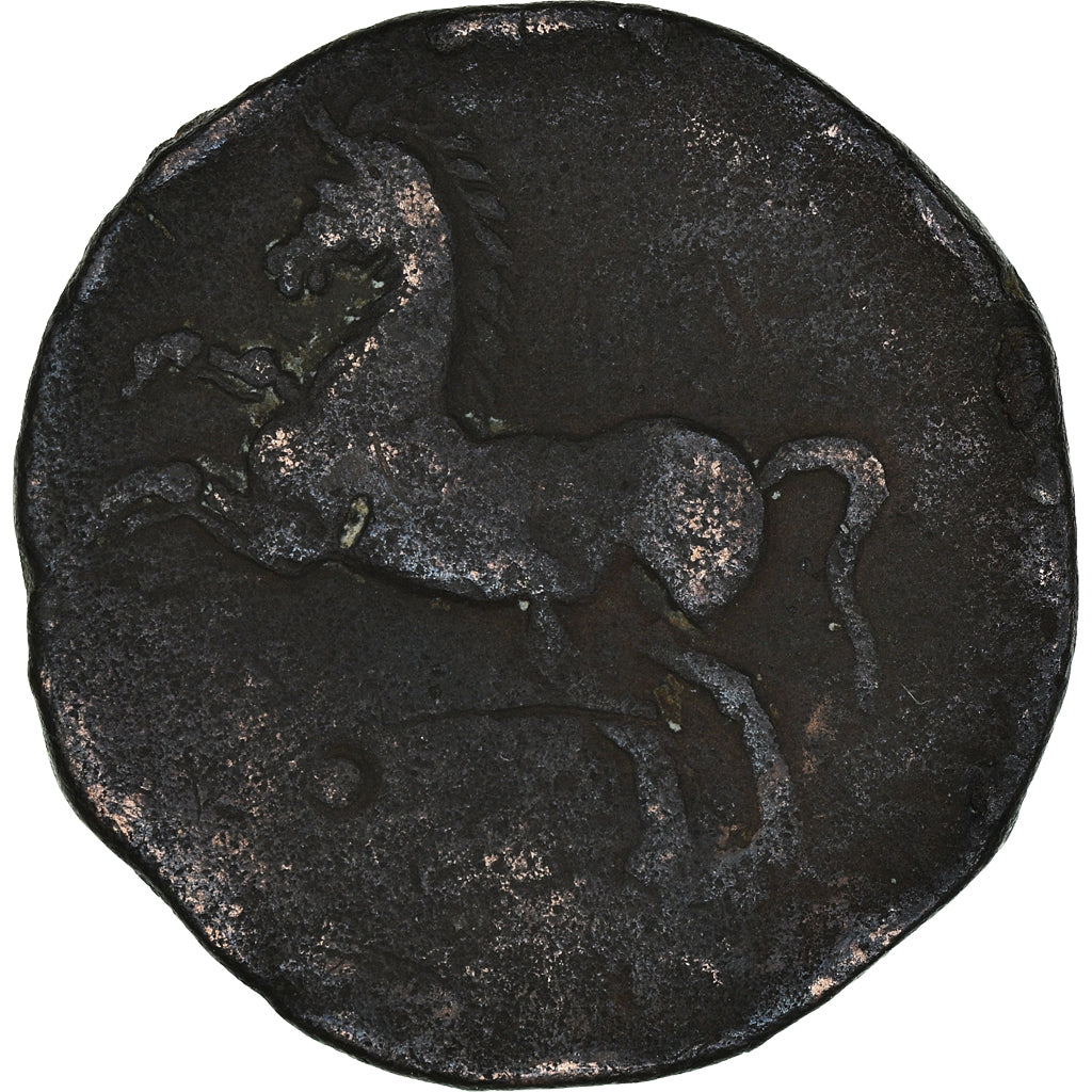 Coin, Numidia (Kingdom of), Massinissa or Micipsa, Bronze Æ, 2nd century BC