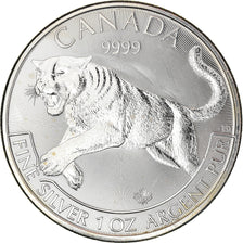 Coin, Canada, Elizabeth II, Cougar, 5 Dollars, 2016, 1 Oz, MS(60-62), Silver