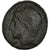 Moneta, Królestwo Macedonii, Philip II, Bronze Unit, 359-294 BC, Uncertain