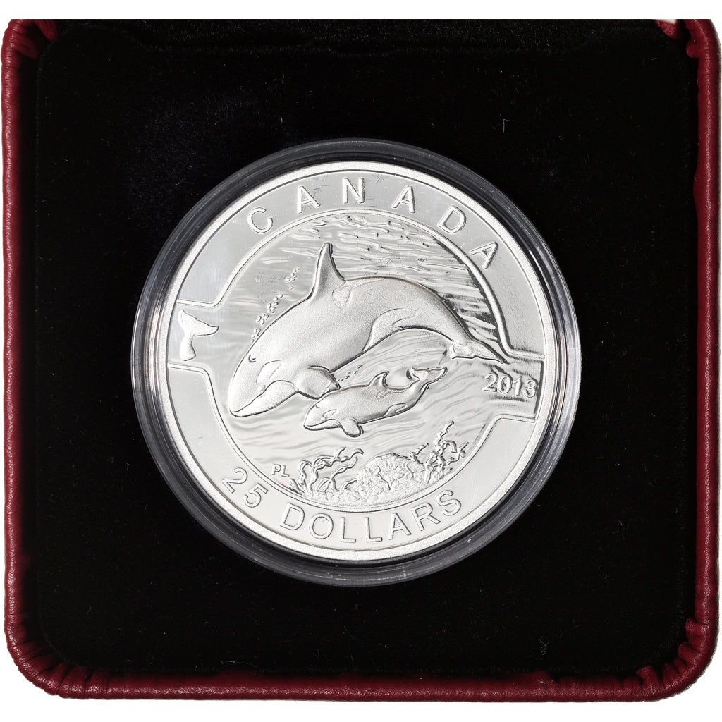 Coin, Canada, Elizabeth II, The Orca, 25 Dollars, 2013, MS(65-70), Silver