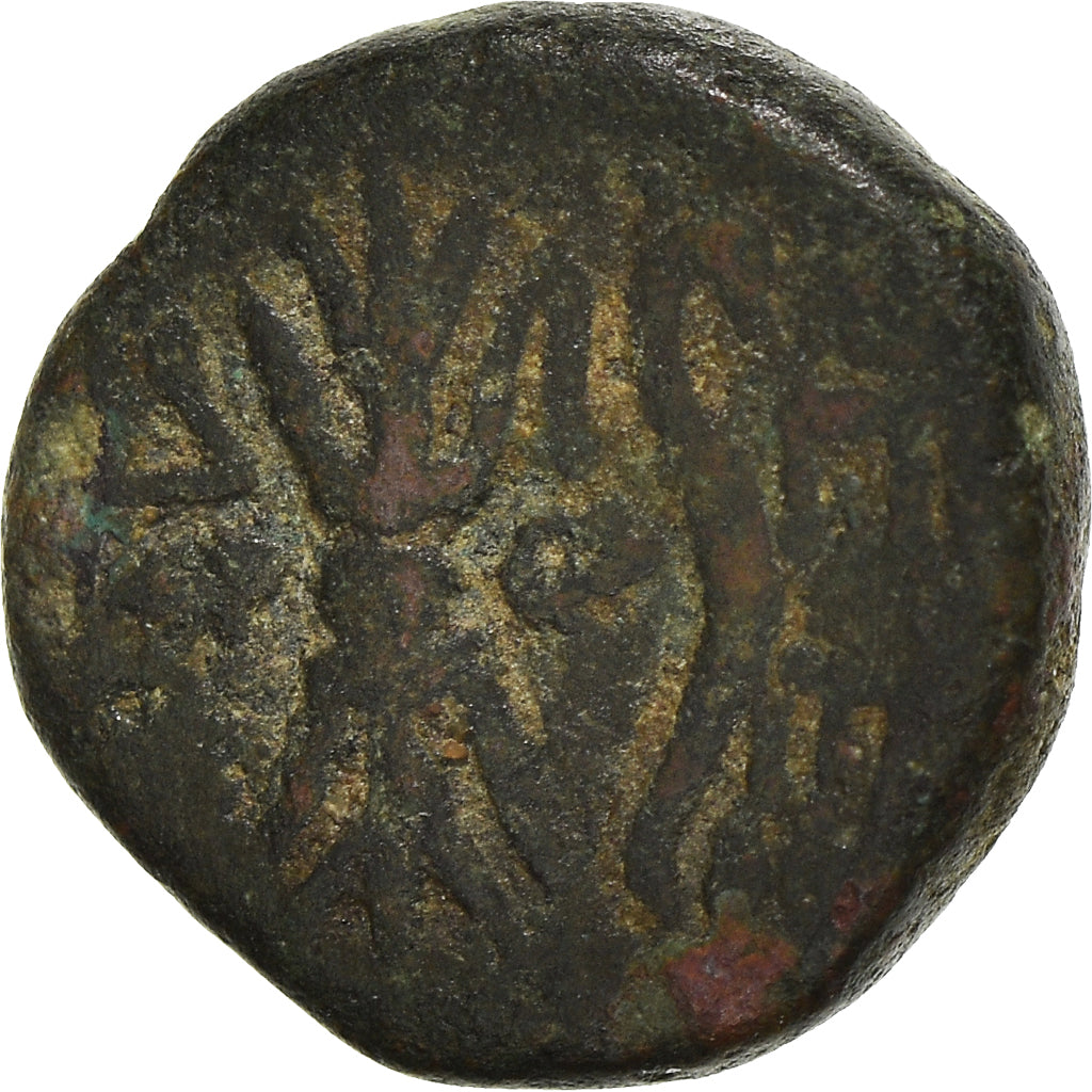 Coin, Pisidia, Bronze Æ, 2nd-1st century BC, Selge, VF(20-25), Bronze