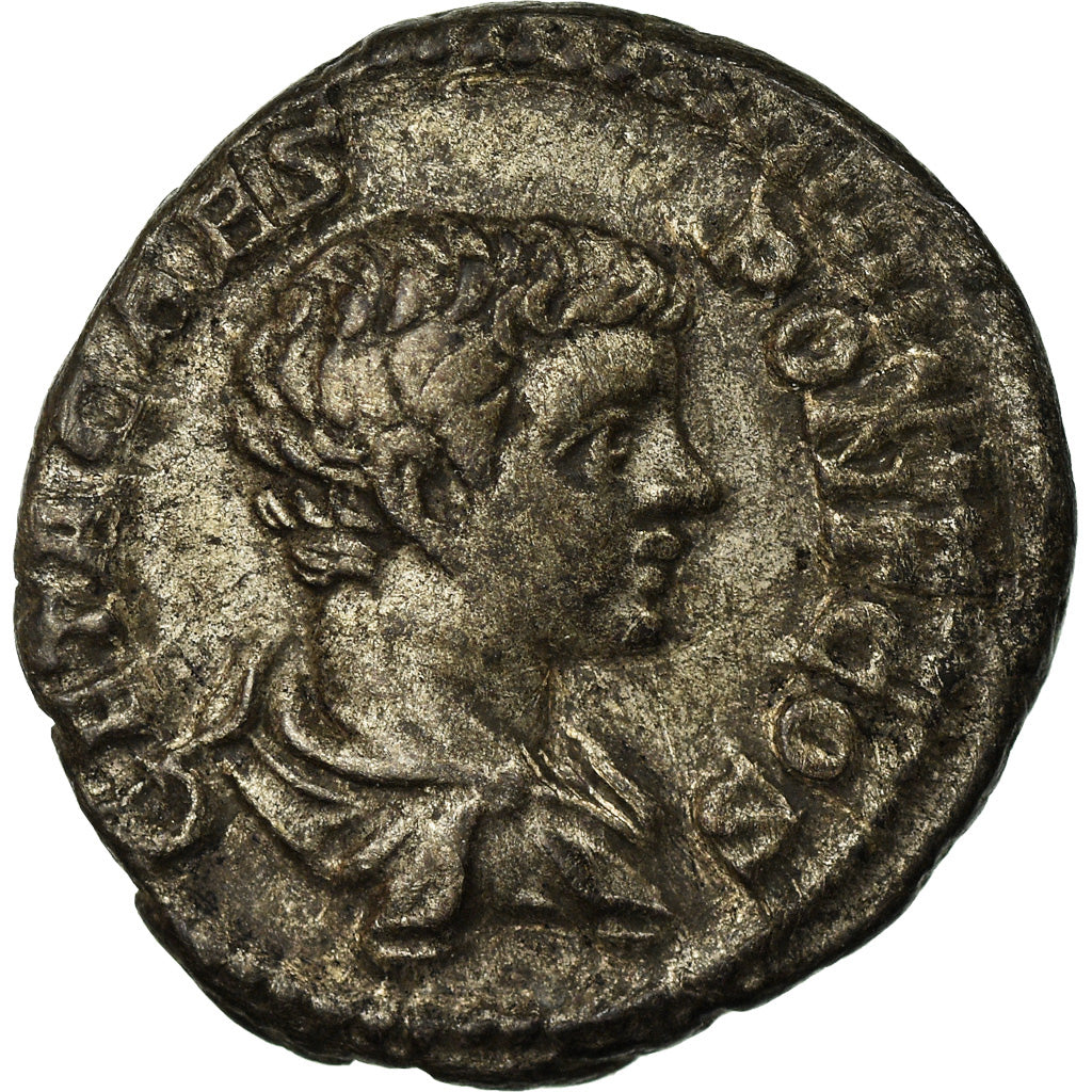 Coin, Geta, Denarius, 206-207, Rome, EF(40-45), Silver, RIC:8