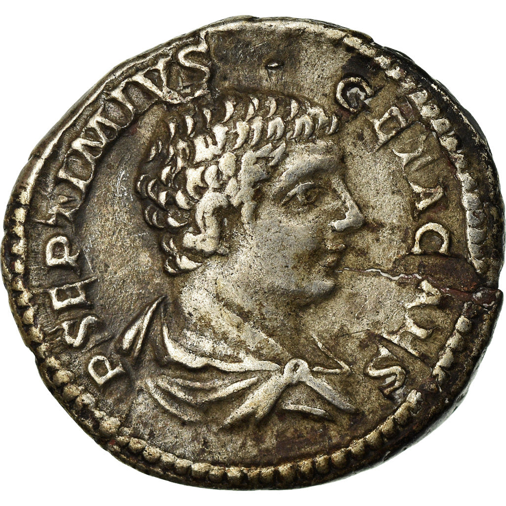 Coin, Geta, Denarius, 206, Rome, EF(40-45), Silver, RIC:51