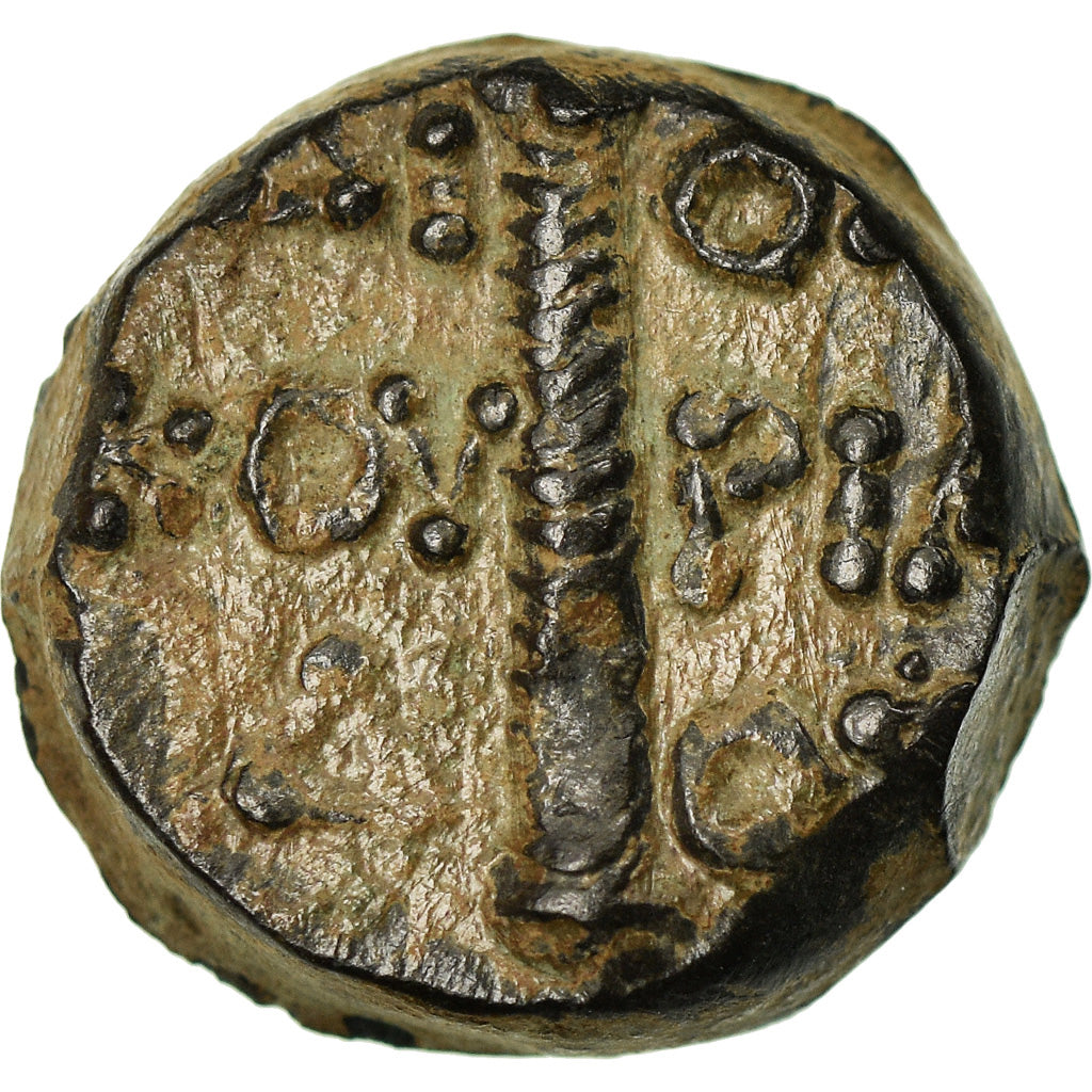 Moneta, Kolchis, Bronze Unit, SPL-, Bronzo