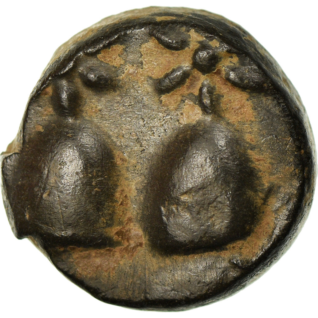 Coin, Kolchis, Bronze Unit, AU(55-58), Bronze