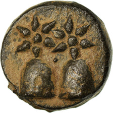 Moneta, Kolchida, Bronze Unit, MS(60-62), Bronze