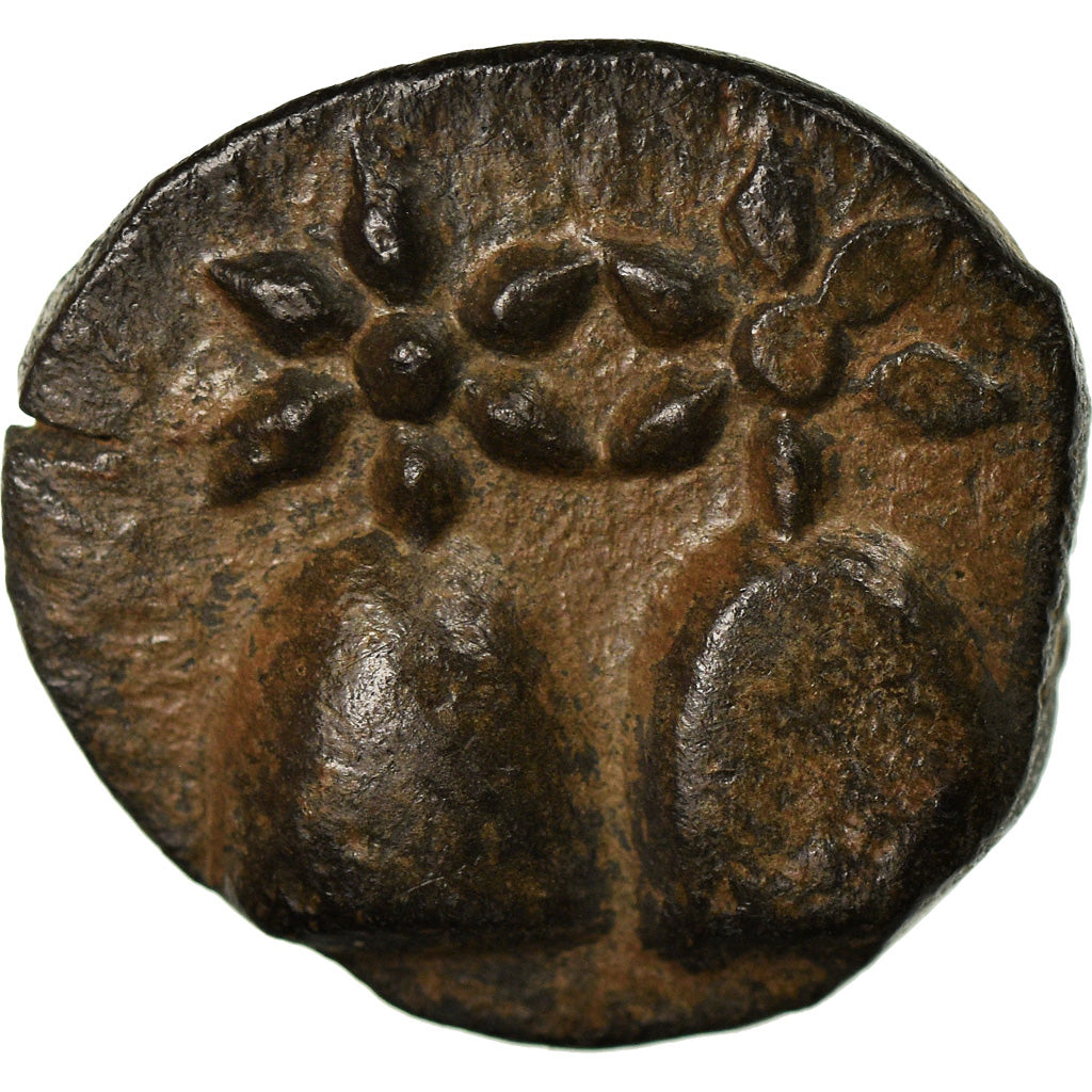 Moeda, Cólquida, Bronze Unit, MS(60-62), Bronze