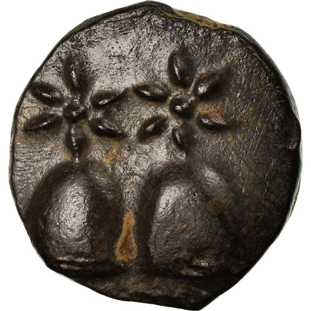 Moneta, Kolchida, Bronze Unit, MS(60-62), Bronze