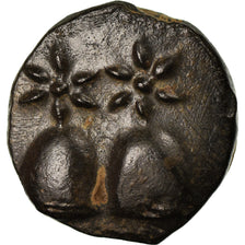 Moneta, Kolchida, Bronze Unit, MS(60-62), Bronze